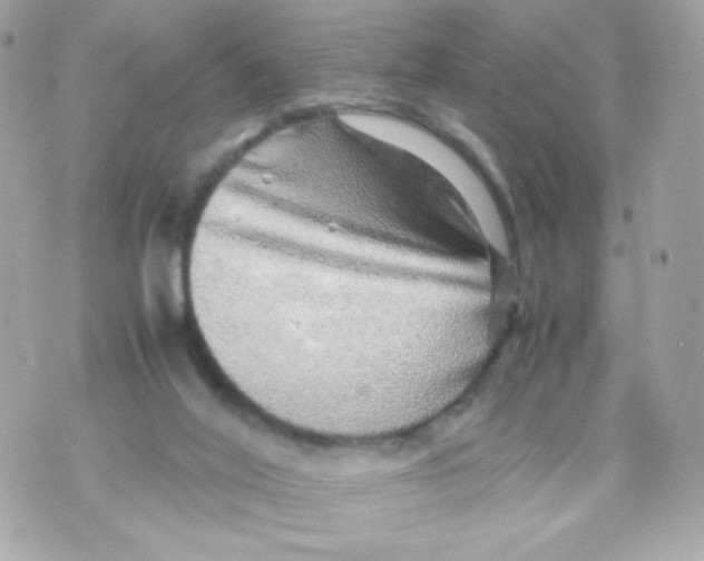 X0000070410020200607072321