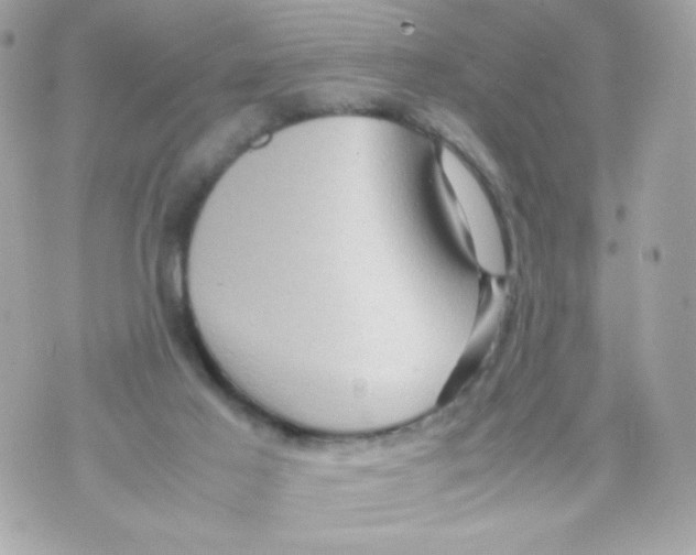 X0000070410021200607072320