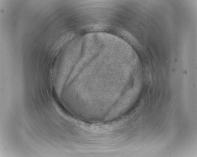 X0000070410022200607072320