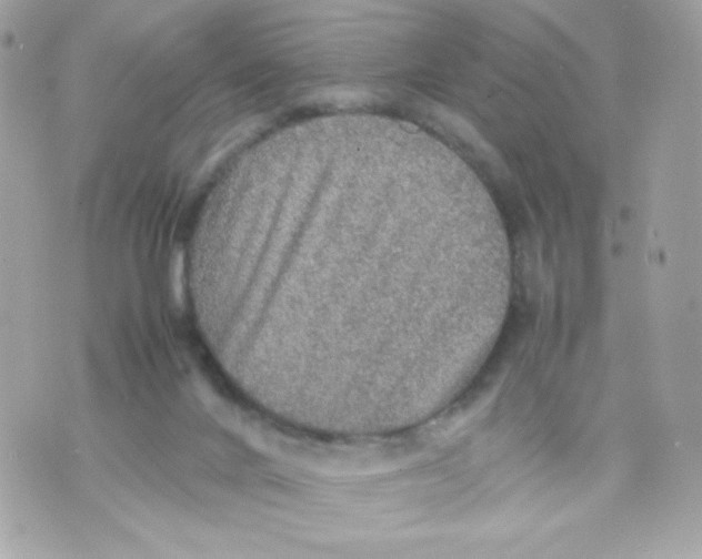 X0000070410024200607072320