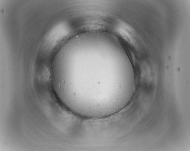 X0000070410025200607072320