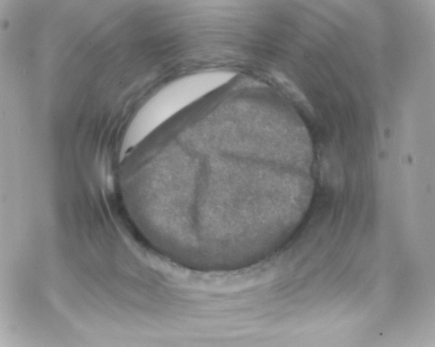 X0000070410026200607072320