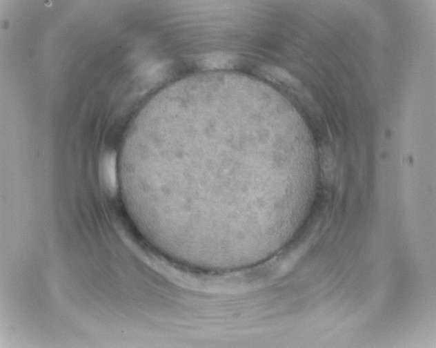 X0000070410028200607072320