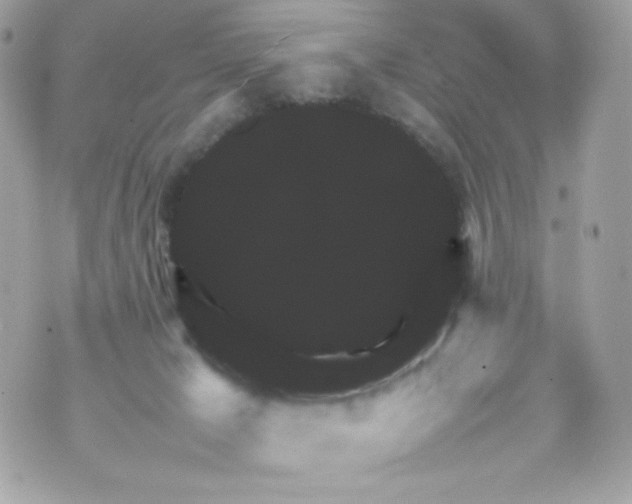 X0000070410029200607072320