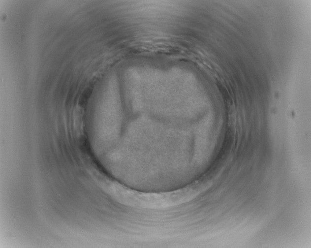 X0000070410030200607072320