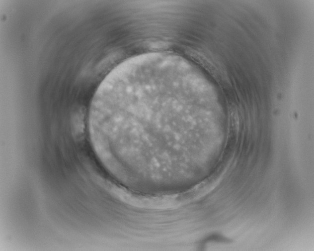 X0000070410032200607072320