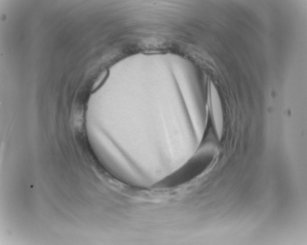 X0000070410033200607072320