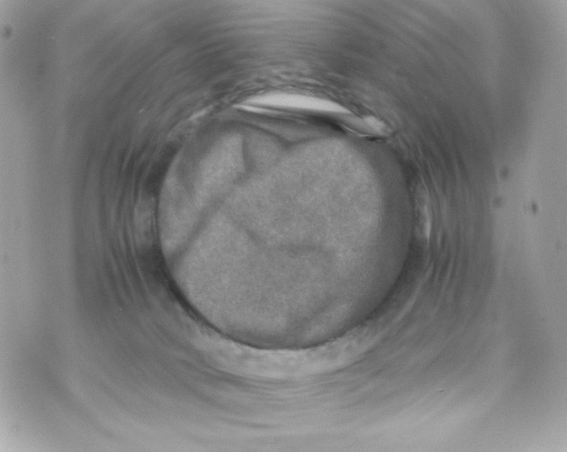 X0000070410034200607072320