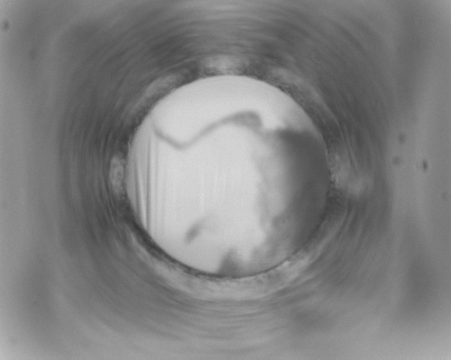 X0000070410036200607072320