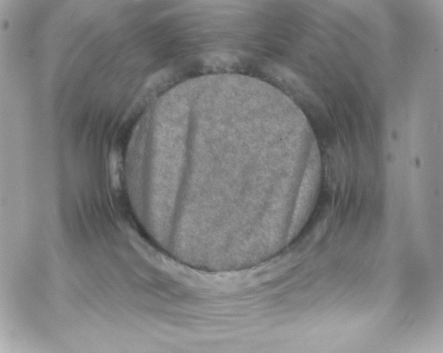 X0000070410038200607072320