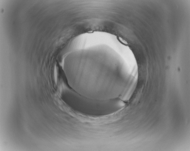 X0000070410039200607072320