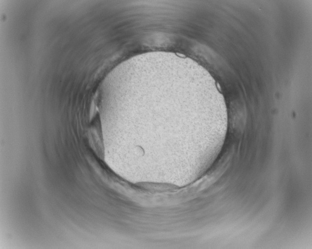 X0000070410040200607072320