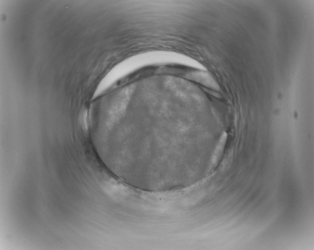 X0000070410041200607072320