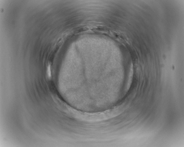 X0000070410042200607072320