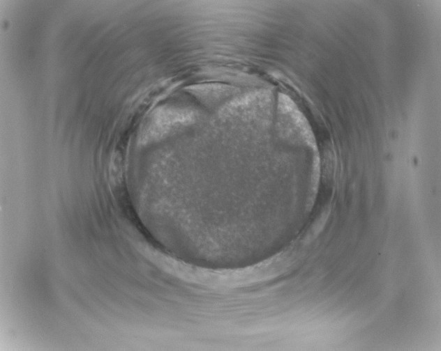 X0000070410043200607072320