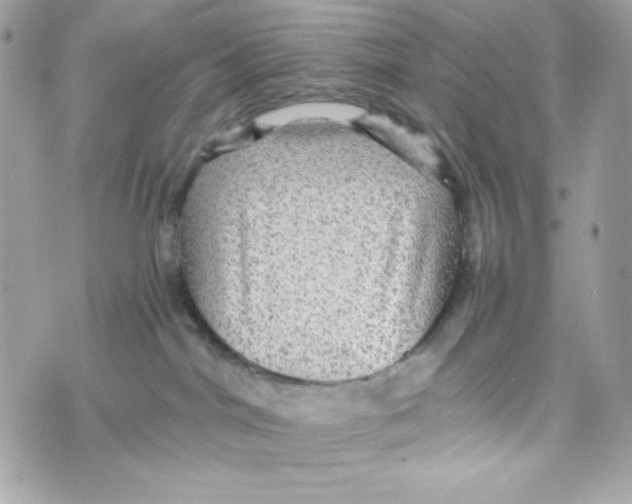 X0000070410044200607072320