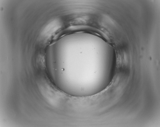 X0000070410045200607072320