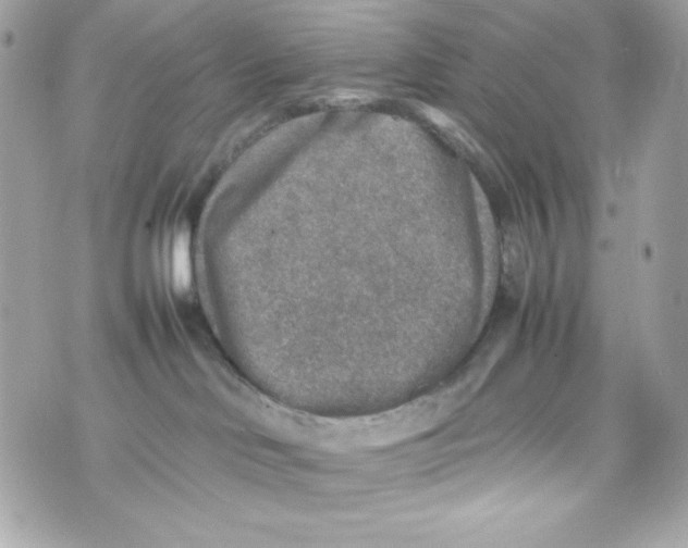 X0000070410046200607072320