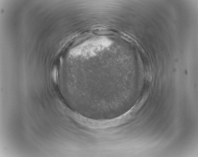 X0000070410047200607072320