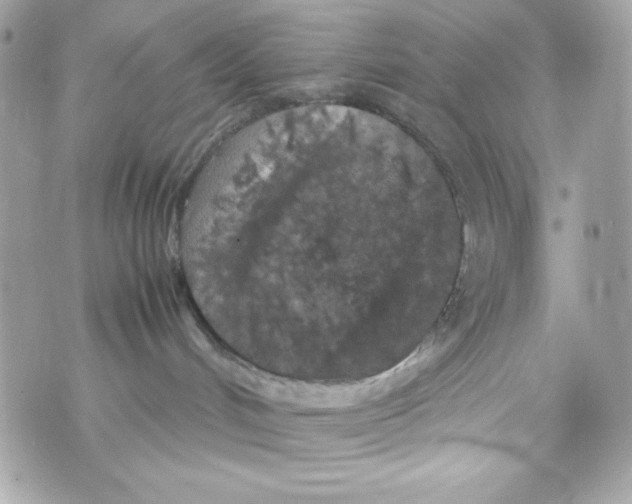 X0000070410048200607072320