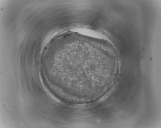 X0000070410049200607072319