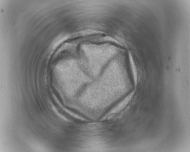 X0000070410050200607072319