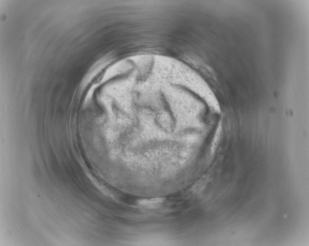 X0000070410051200607072319