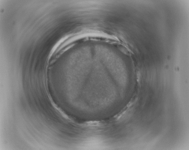 X0000070410052200607072319