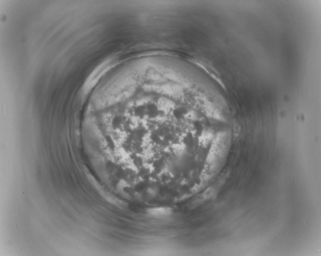 X0000070410053200607072319