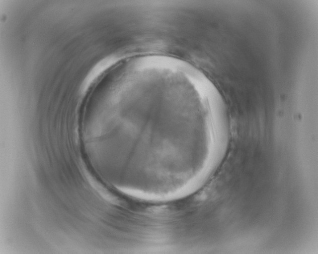 X0000070410054200607072319