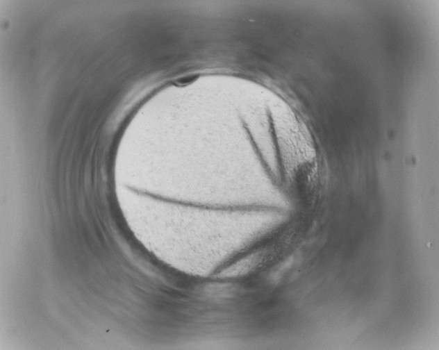 X0000070410055200607072319