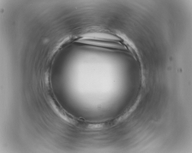 X0000070410057200607072319