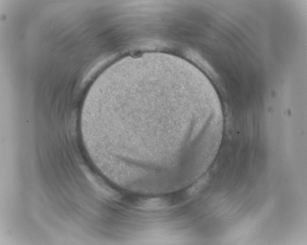 X0000070410058200607072319