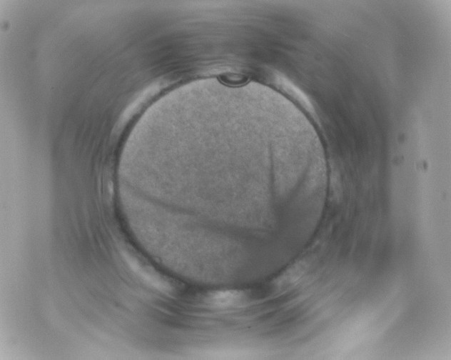 X0000070410059200607072319