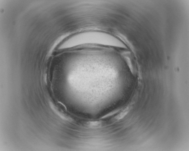 X0000070410060200607072319