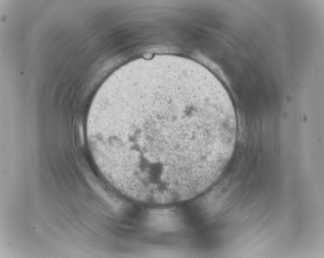 X0000070410061200607072319