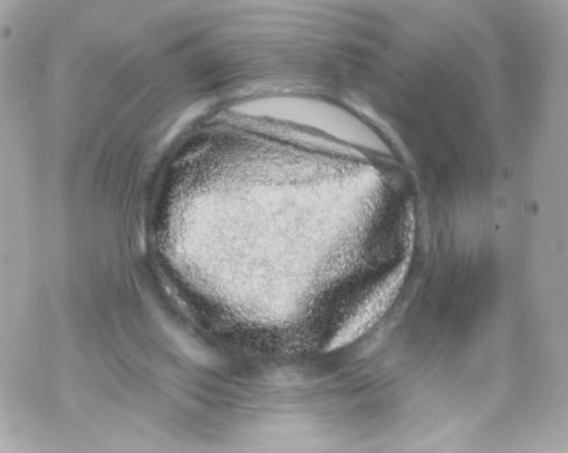 X0000070410062200607072319