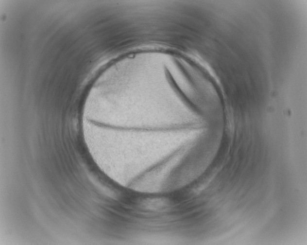 X0000070410063200607072319