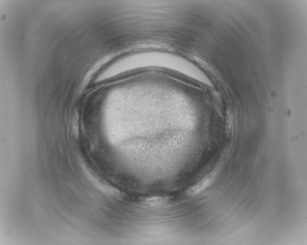 X0000070410064200607072319