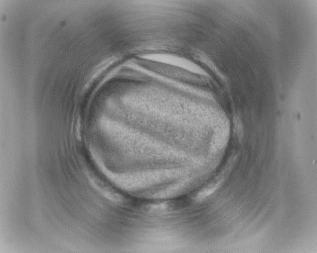 X0000070410068200607072320