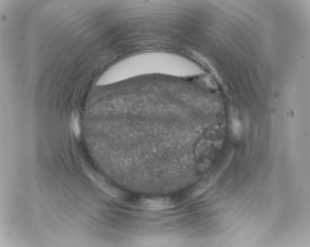 X0000070410069200607072320