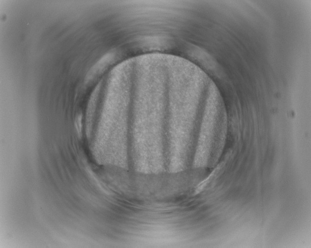 X0000070410070200607072320