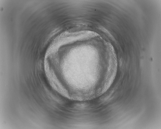 X0000070410071200607072320