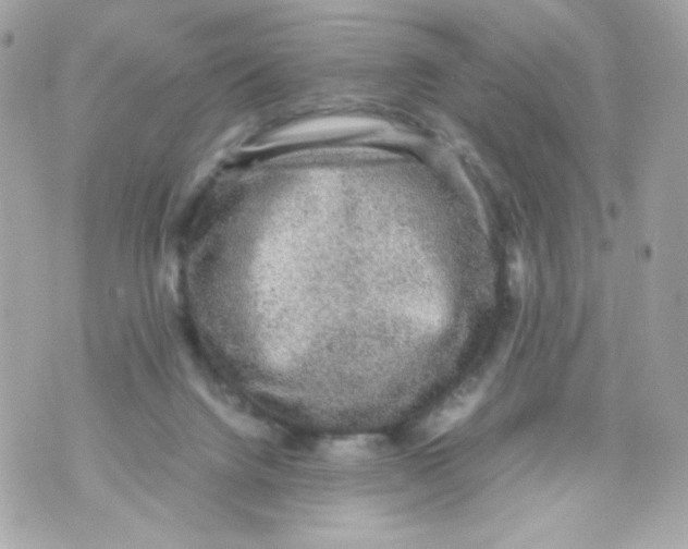 X0000070410072200607072320