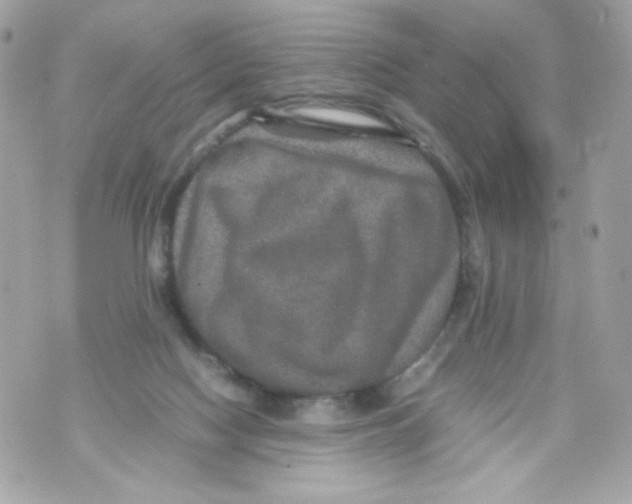 X0000070410074200607072320