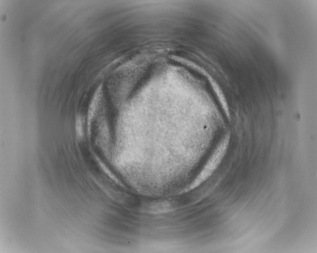 X0000070410075200607072320