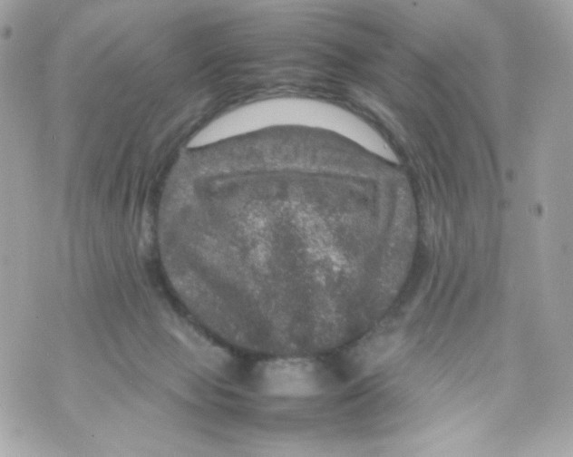 X0000070410077200607072320