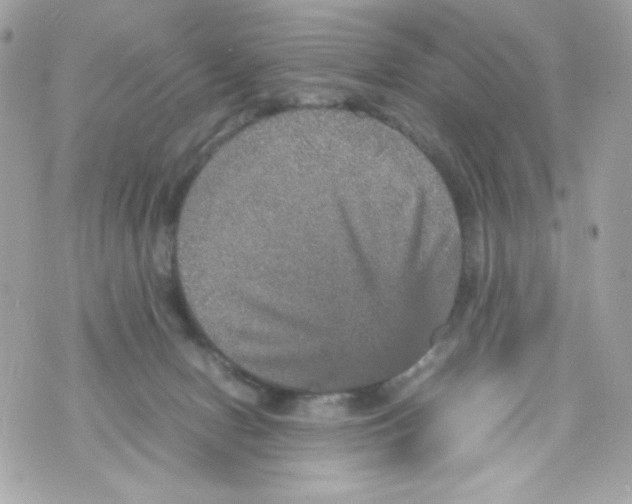 X0000070410078200607072320