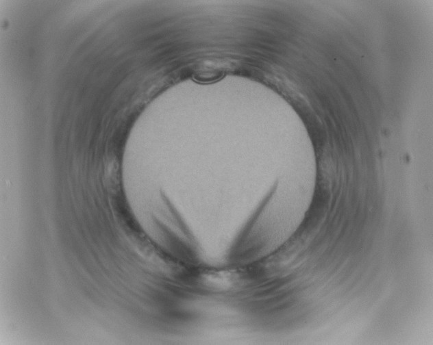 X0000070410079200607072320