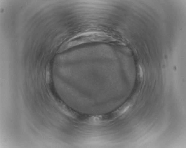 X0000070410080200607072320